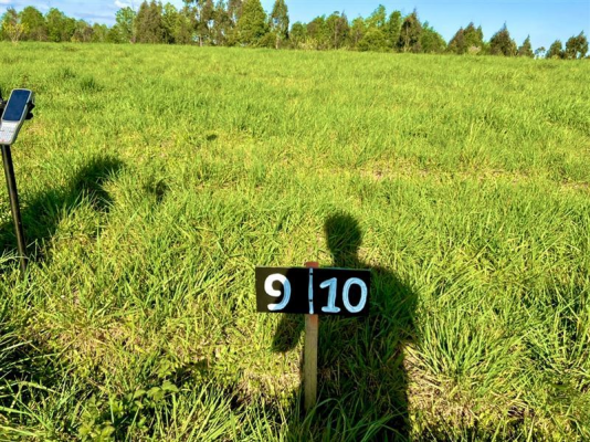 -12