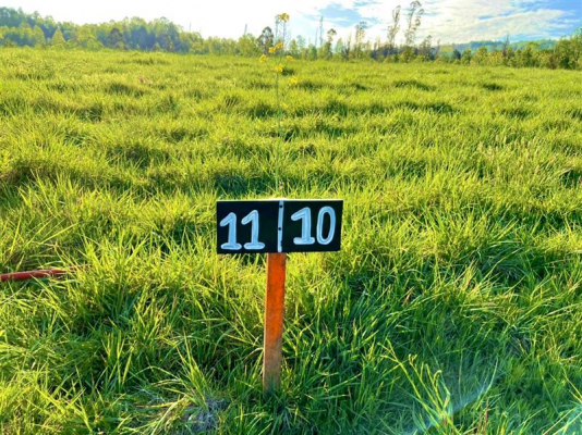 -13