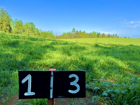 -14
