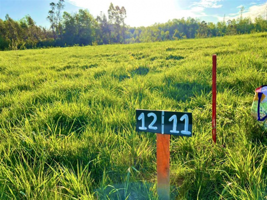 -16