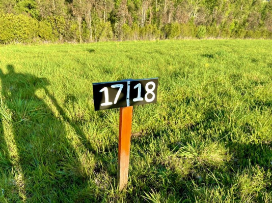 -19