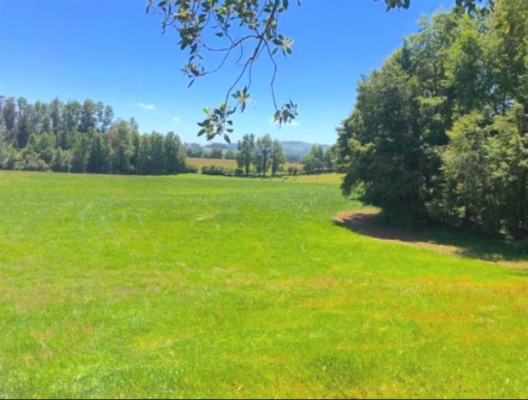 -6