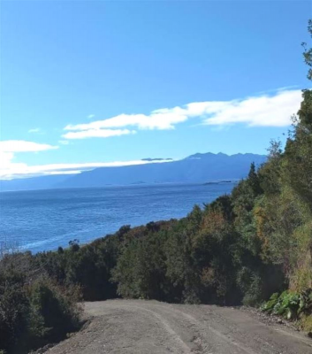 -8