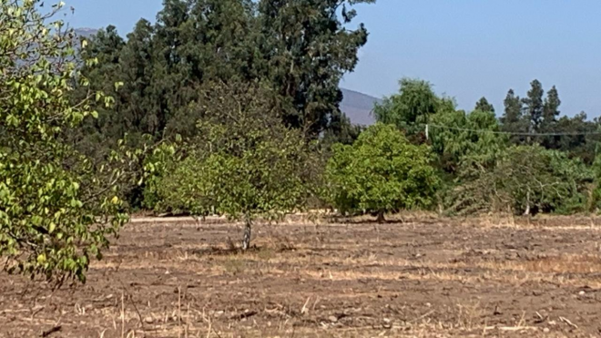 venta-de-terreno-de-5000-m2-sin-reglamento-de-c-7