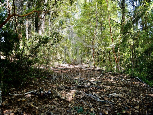 -17