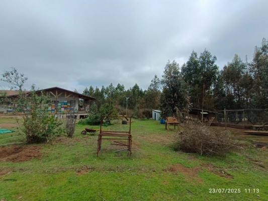 dos-casas-con-parcelas-en-litueche---5090-uf-9