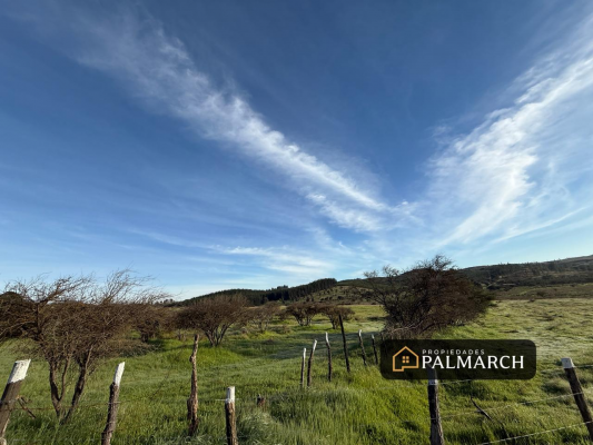 parcelas-en-venta-en-ninhue-region-de-nuble-9