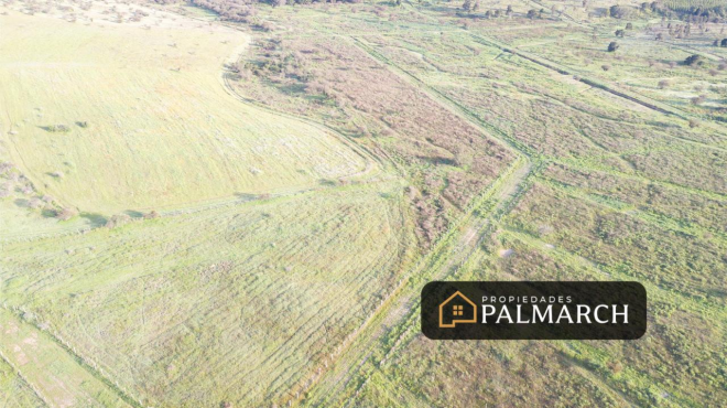 parcelas-en-venta-en-ninhue-region-de-nuble-8