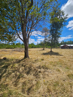 casa-en-condominio-bosques-de-conquil-villarrica-7