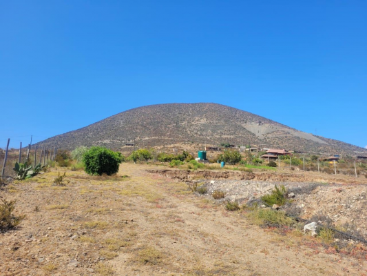 se-vende-terreno-c/arboles-frutales,-el-rosario-6