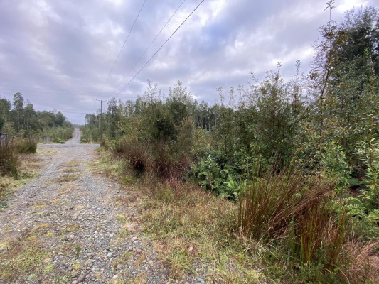 vendo-parcela-en-campos-neo-alerce,-puerto-montt-9