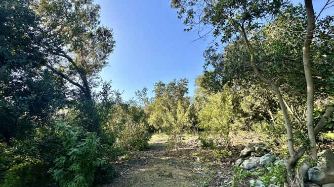 venta-terreno---sitio-6700mts-olmue-8