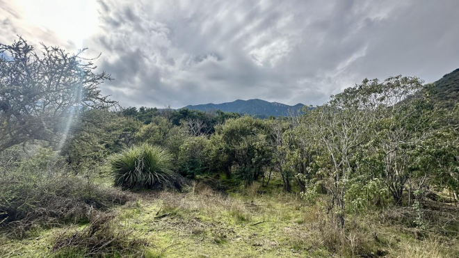 venta-terreno---sitio-5000mts-olmue-3