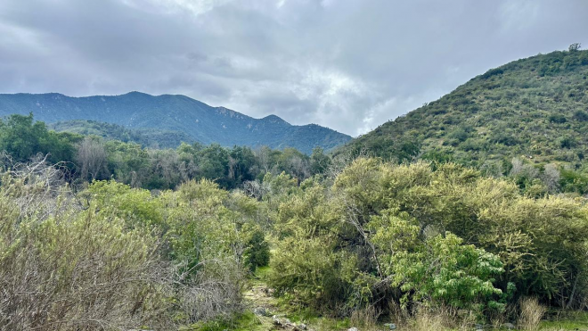 venta-terreno---sitio-5000mts-olmue-4
