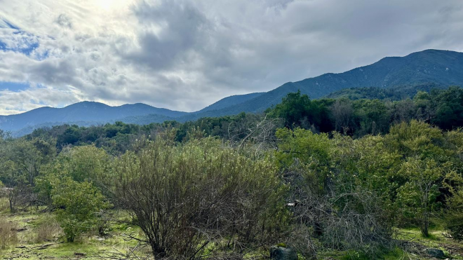 venta-terreno---sitio-5000mts-olmue-5