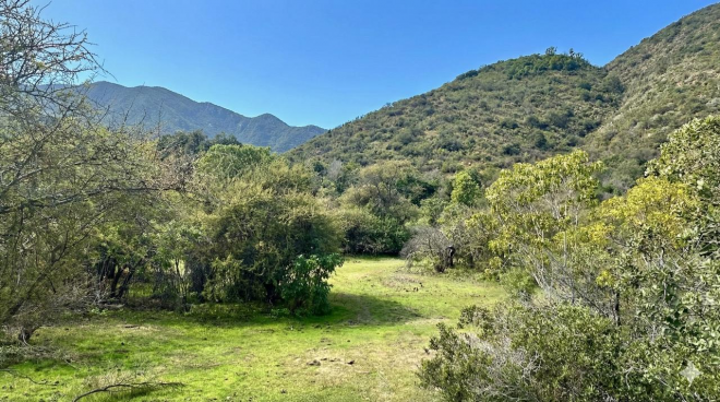 venta-terreno---sitio-5000mts-olmue-6