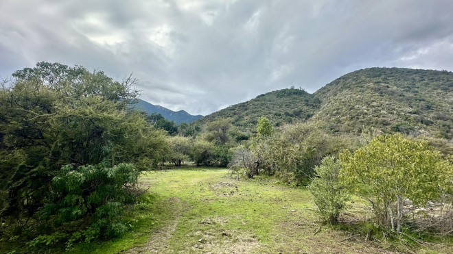 venta-terreno---sitio-5000mts-olmue-7