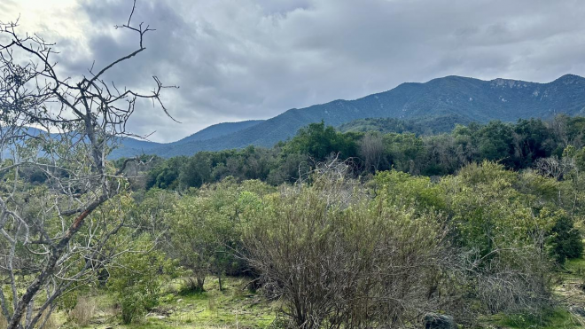 venta-terreno---sitio-5000mts-olmue-8