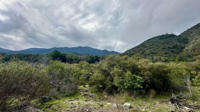 venta-terreno---sitio-5000mts-olmue-9