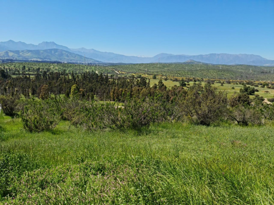 venta-parcela-5850mts-limache-3