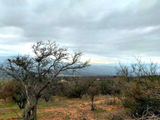 venta-parcela-5850mts-limache-4