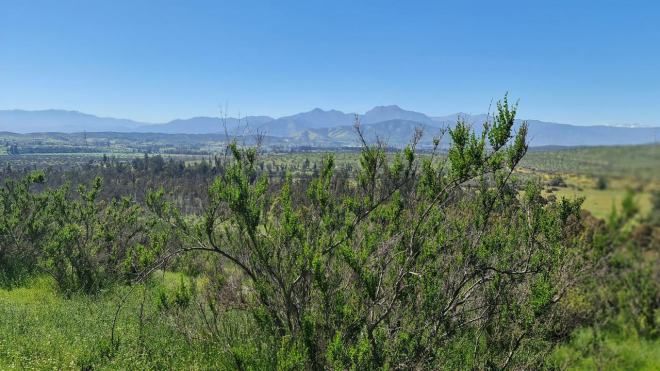 venta-parcela-5850mts-limache-8