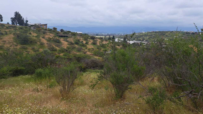 oportunidad-sitio-san-pedro-quillota-(154645)-6
