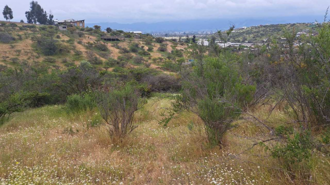 oportunidad-sitio-san-pedro-quillota-(154645)-8