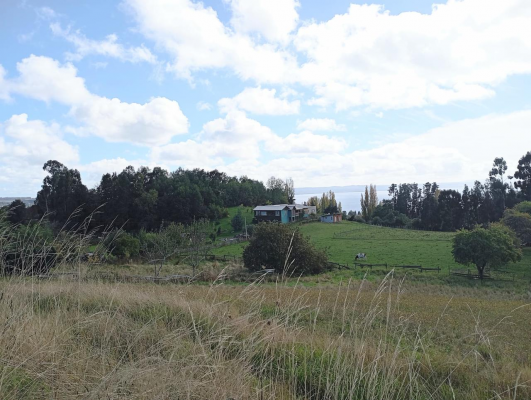 venta-de-parcela-lago-ranco-7100-mts-2-con-cas-9