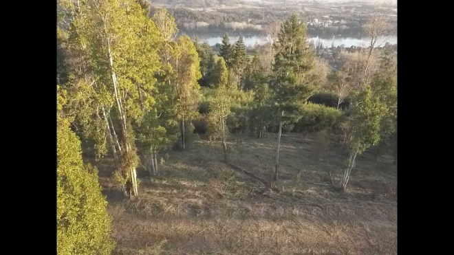 -7