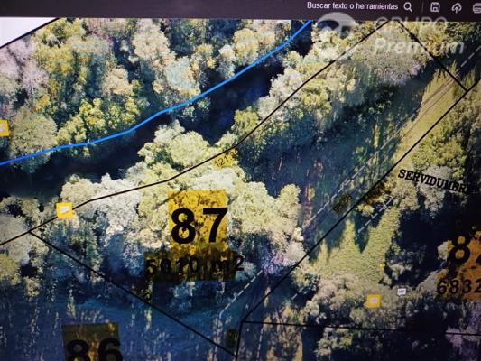 -11