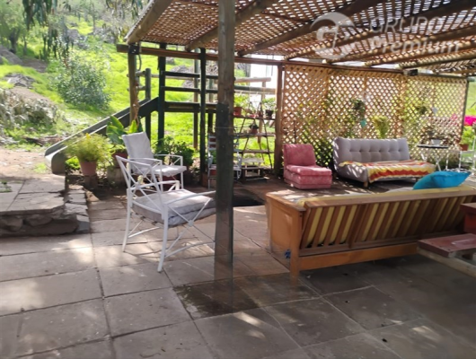 -19