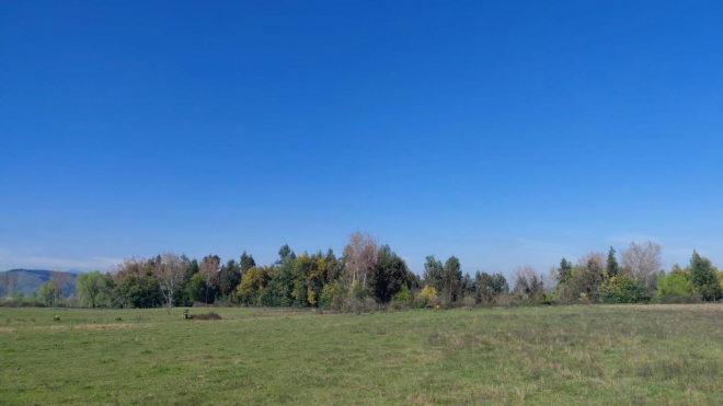 campo-agricola-en-venta,-terreno-de-20-ha-pelarco-4