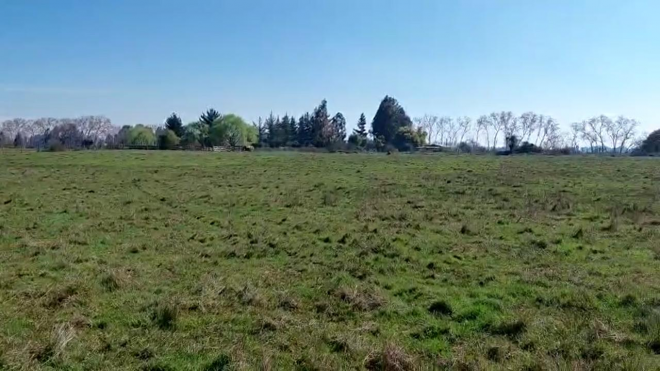 campo-agricola-en-venta,-terreno-de-20-ha-pelarco-5