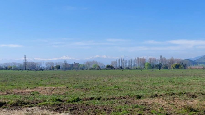 campo-agricola-en-venta,-terreno-de-20-ha-pelarco-8