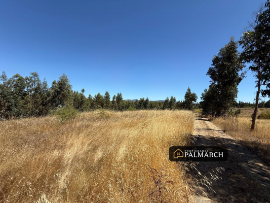 parcela-en-venta-en-san-nicolas-chillan-6