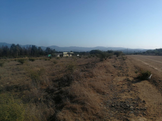 parcela-en-el-interior-de-zapallar-10000-m2-7