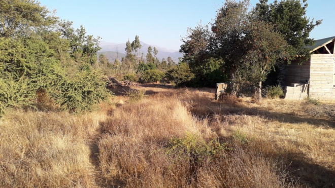 parcela-en-el-interior-de-zapallar-10000-m2-8