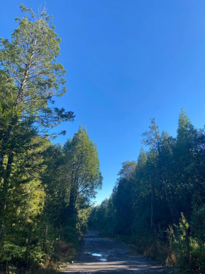 venta-parcela-5000mts-puerto-montt-4