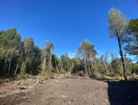 venta-parcela-5000mts-puerto-montt-5