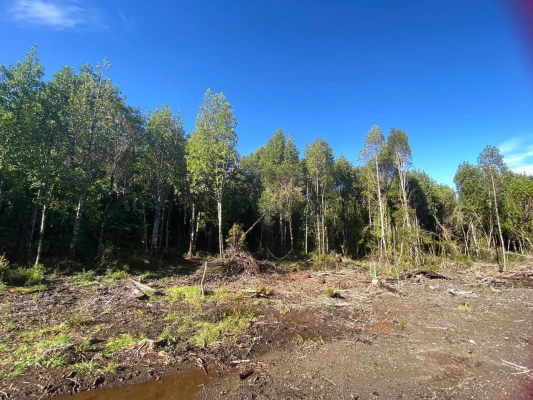 venta-parcela-5000mts-puerto-montt-9