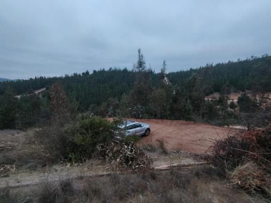 522624-6