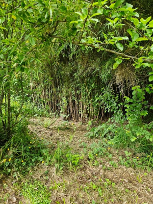 venta-derechos-sitio-villarrica-3