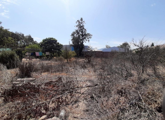 venta-pano-inmobiliario-en-quillota-centro-270-3