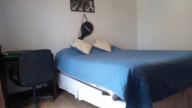 vendo-parcela-con-2-casas-4d-3b-y-2d-1b-2e-tala-7
