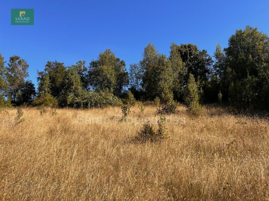 parcela-14000-mts-2-sector-rio-blanco-fresia-3