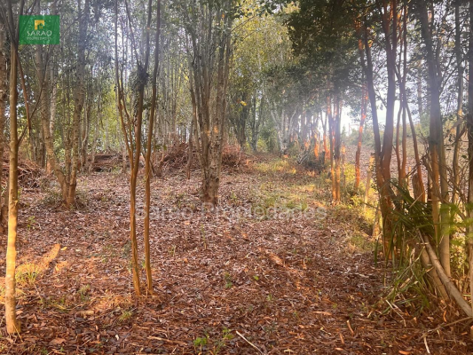 parcela-14000-mts-2-sector-rio-blanco-fresia-5