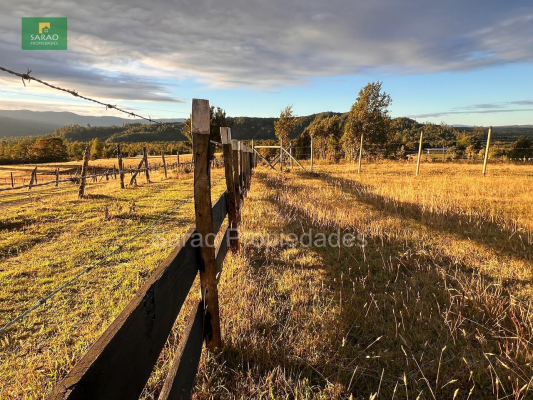parcela-14000-mts-2-sector-rio-blanco-fresia-8
