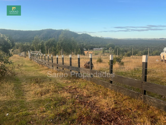 parcela-14000-mts-2-sector-rio-blanco-fresia-9