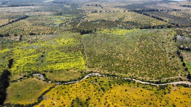 -13